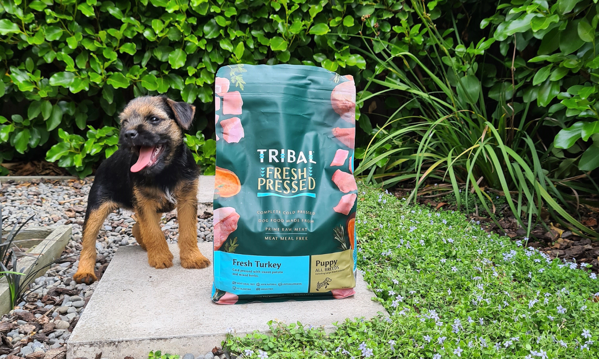 Best puppy food outlet for mixed breeds