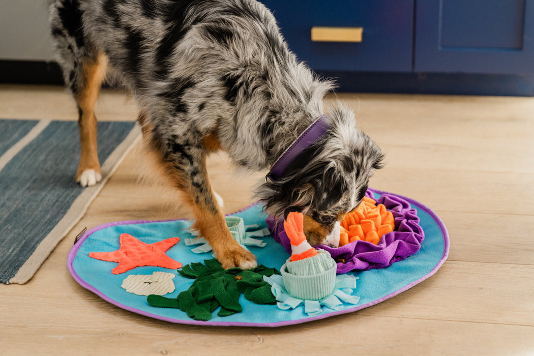 P.L.A.Y. Coral Cove Snuffle Mat