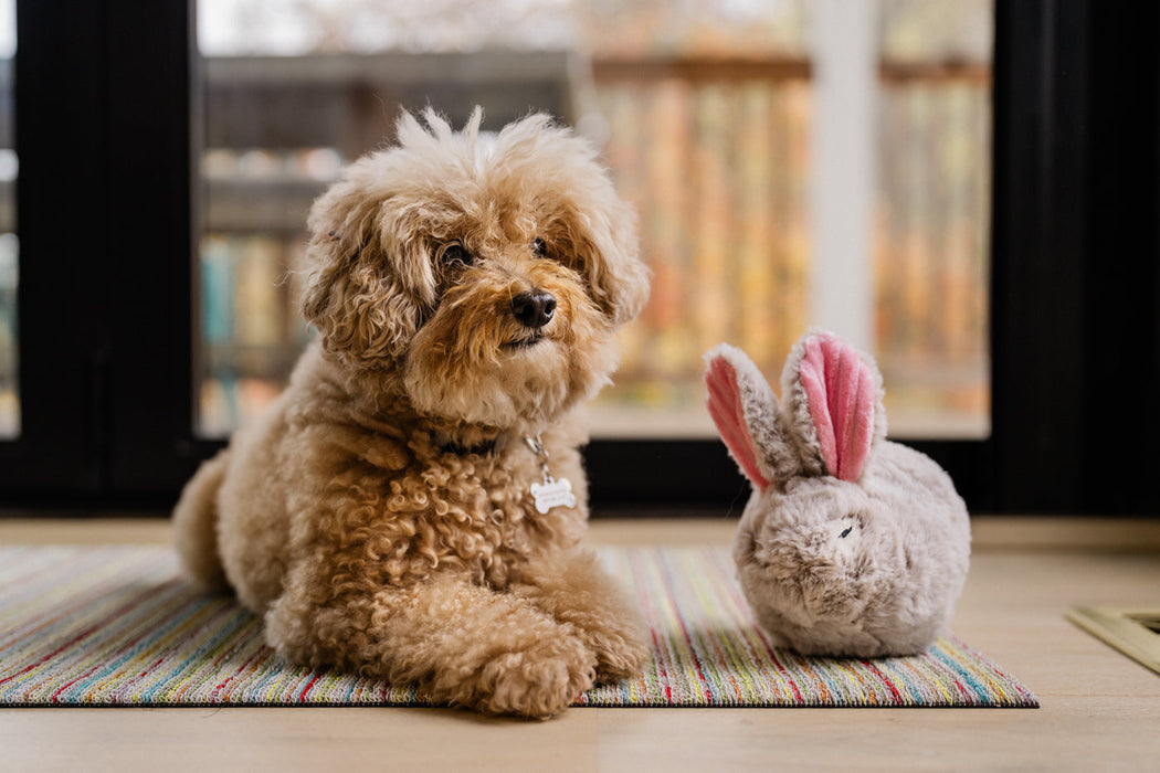 P.L.A.Y.  Forest Friends Baxter the Bunny