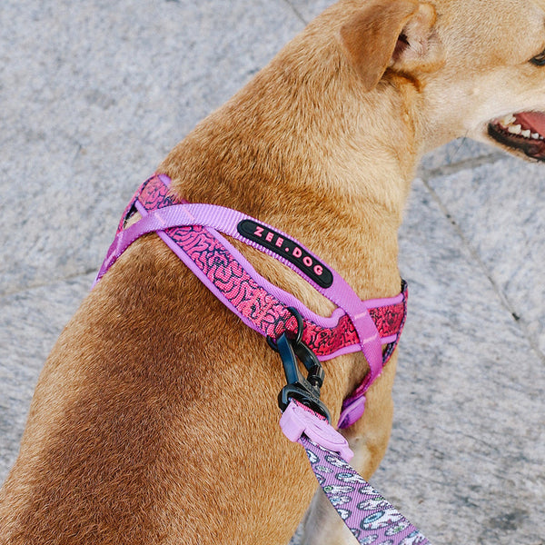 Zee.Dog | Softer Walk Harness - Brain