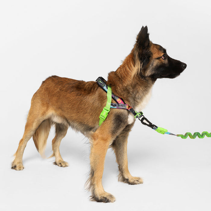 NEW!  Zee.Dog | Softer Walk Harness - Manifesto