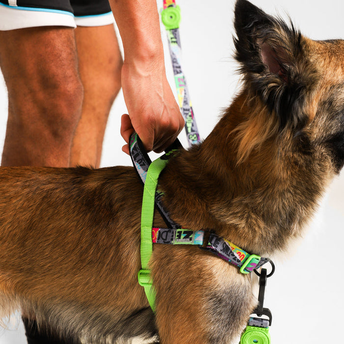 NEW!  Zee.Dog | Softer Walk Harness - Manifesto