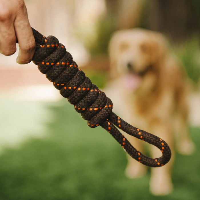 P.L.A.Y. Scout & About - Rope Toy - Tug - Large