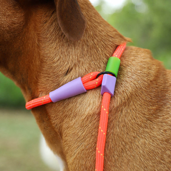 NEW!  Zee.Dog Slip-On Leash - Everest