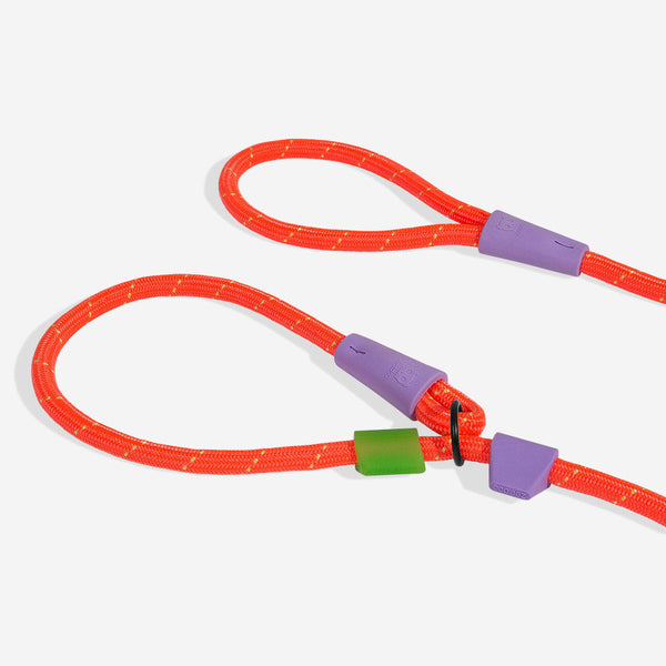 NEW!  Zee.Dog Slip-On Leash - Everest