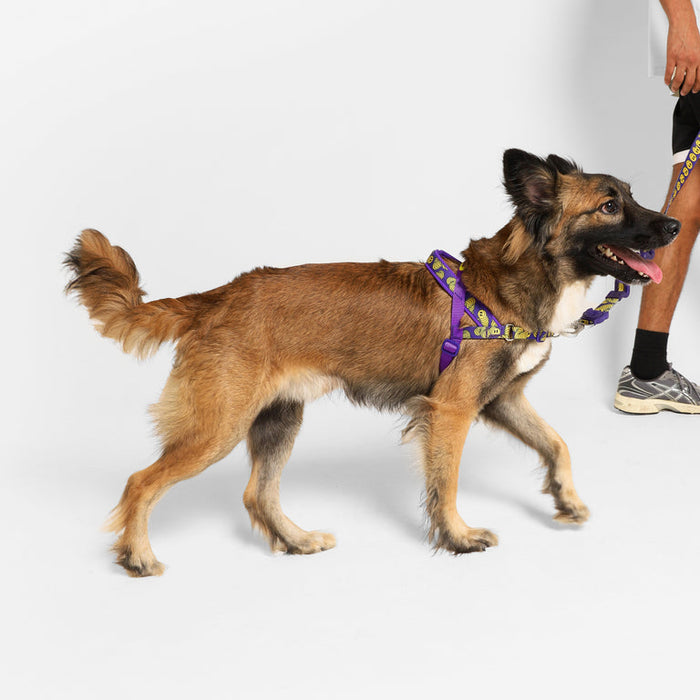 NEW!  Zee.Dog | Softer Walk Harness - Zmiley