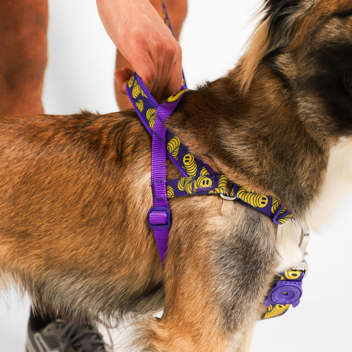 NEW!  Zee.Dog | Softer Walk Harness - Zmiley