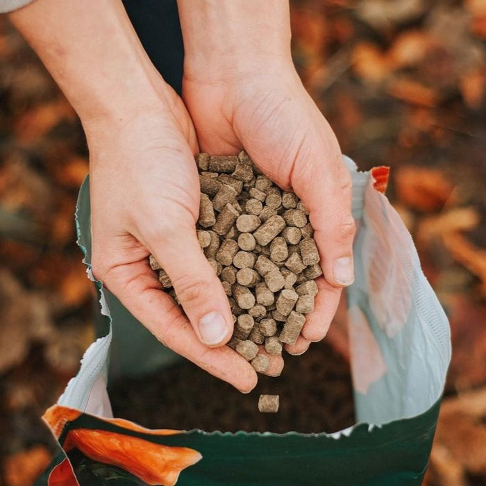 Grain free cold pressed dog food NZ