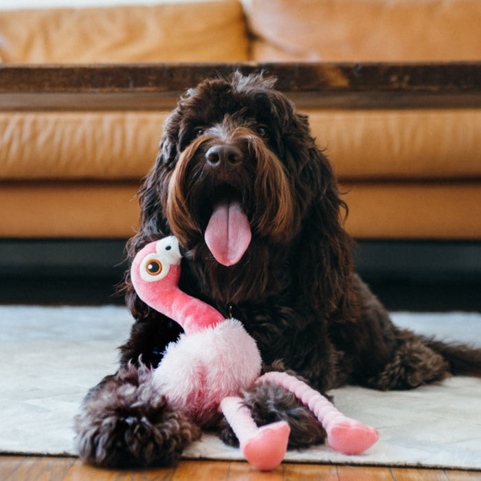 P.L.A.Y. Fetching Flock - Flamingo